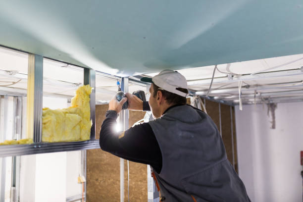 Best Insulation Maintenance and Repair in Orchard City, CO